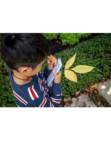 Explorer Microscope Set Tiger Tribe