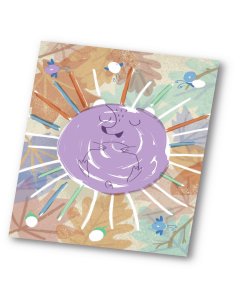 Pintura de Mezcla de Colores Hape 2