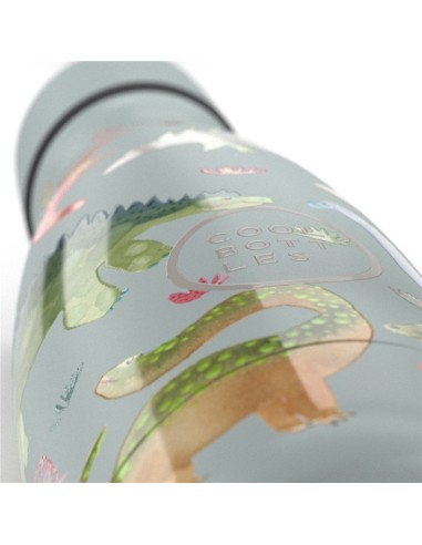 The Kids Bottle - Dinos Planet 260ml