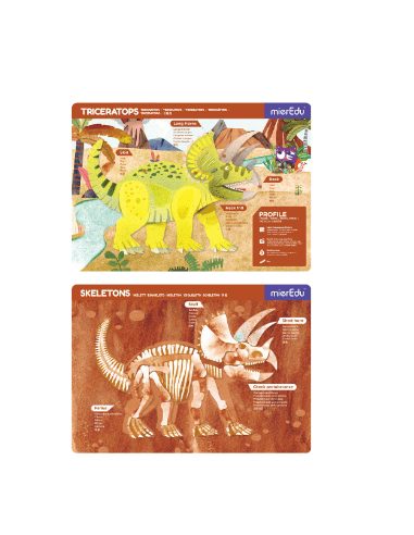 mPad- Triceratops MierEdu