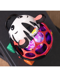 Sonajero y juguete de arrastre Baby Einstein Oball Zen 2