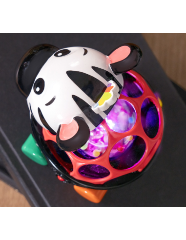 Sonajero y juguete de arrastre Baby Einstein Oball Zen