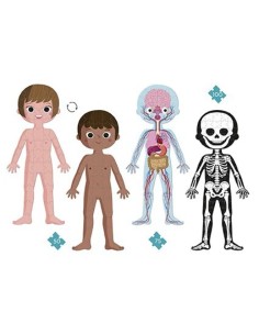 Puzle educativo cuerpo humano Janod 2