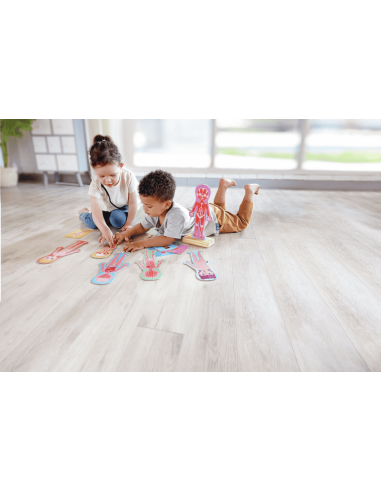 Rompecabezas magnético del cuerpo humano