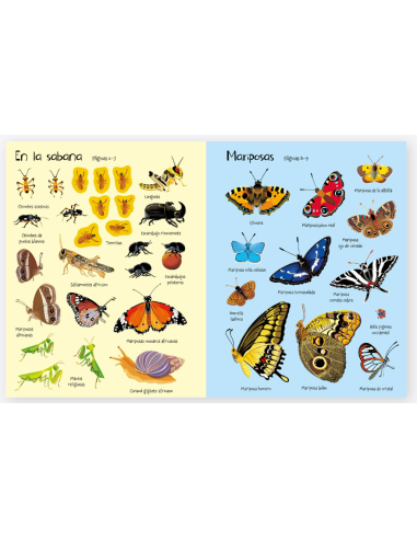 Bichitos Libro de Pegatinas