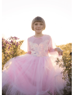 Vestido de Princesa Rosa 2