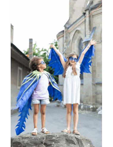 Alas suaves de la joya del dragón celestial