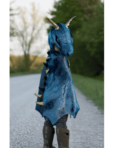 Capa de dragón de la noche estrellada