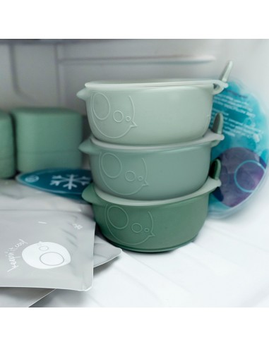 Depósitos para congelar comida con compartimentos y tapas Fill + Freeze B.Box (3 ud.)
