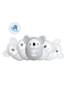 Koala regordete Dondoloto 2