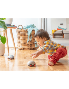 Koala y Erizo pilla pilla Tiger Tribe 2