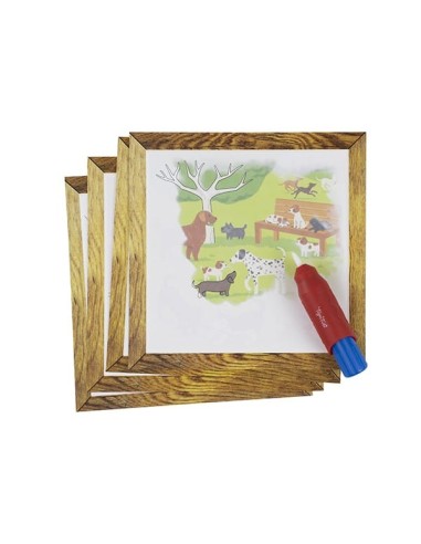 Pintura Mágica Mundo Pets Tiger Tribe