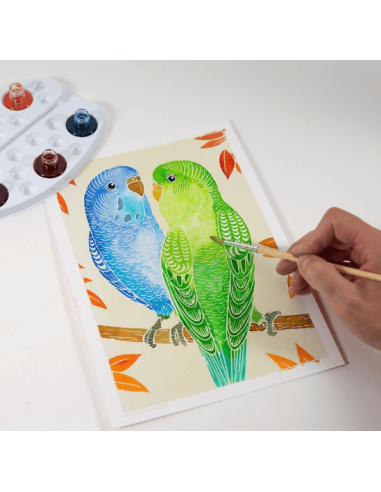 Aquarellum Junior Pajaros