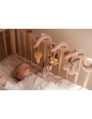 Espiral Actividades Fairy Little Dutch