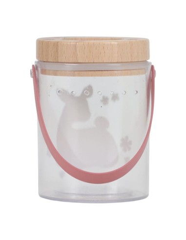 Tarro Insectos Fairy Little Dutch