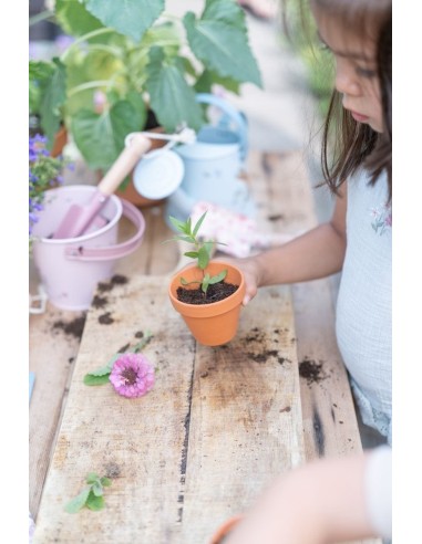 Cubo Metal Forest Little Ducth