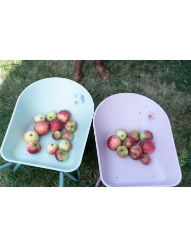 Carretilla Forest Garden Little Dutch