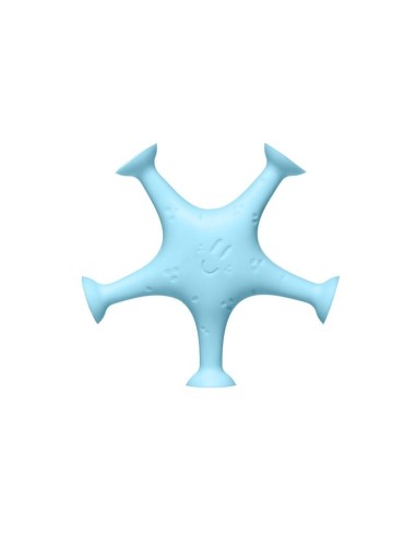 Estrellas de Mar Ventosa