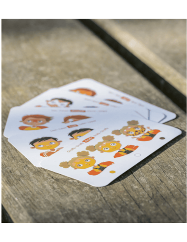 Paleta de pintura facial de 6 colores - Vida Silvestre / Namaki