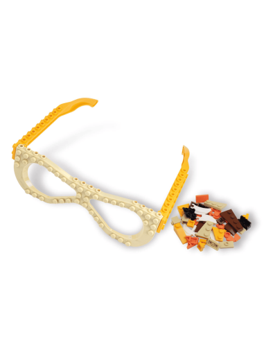 Fun Blocks Gafas Pterosaurio