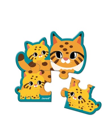 5 Puzzles Evolutivos