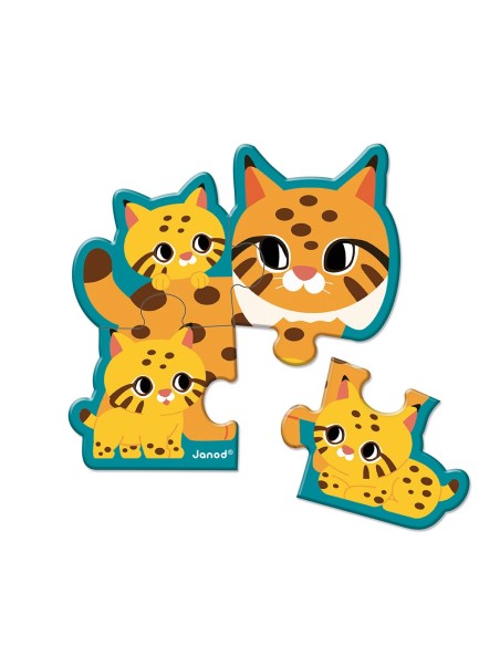 5 Puzzles Evolutivos