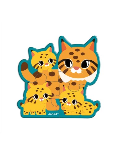 5 Puzzles Evolutivos