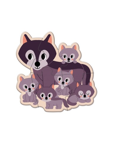 5 Puzzles Evolutivos