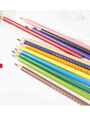 Lápices de color x12