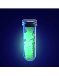 Glowing Imagination / Estrellas