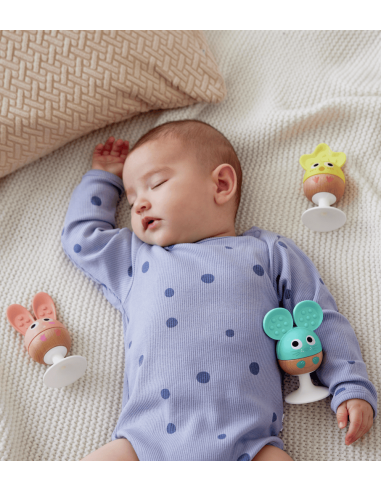 Set sonajero y mordedor