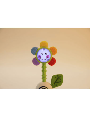 Sonajero de Flor Agita y Brilla