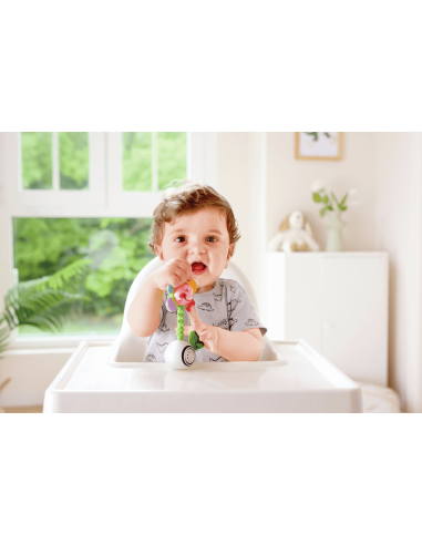 Sonajero de Flor Agita y Brilla