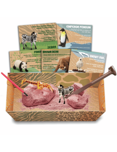 Kit Sorpresa de Excavación