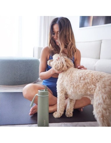 Botella térmica con boquilla plegable y asa 690ml B.Box - Olive