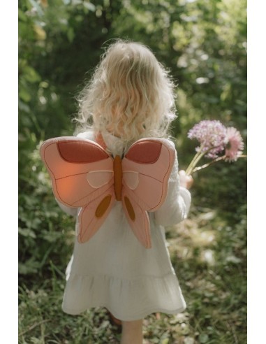 Alas y varita mágica Fairy Little Dutch