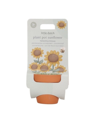 Maceta Girasol Little Dutch