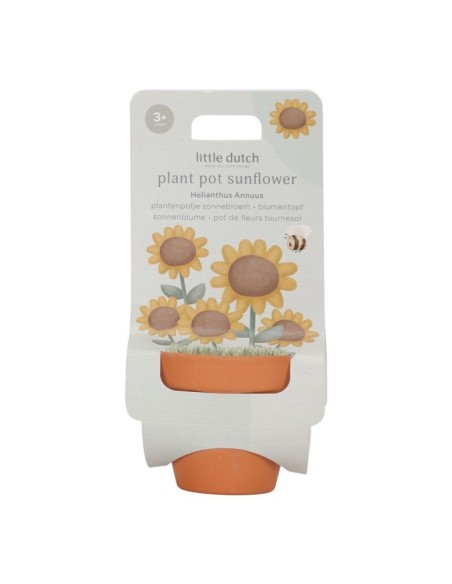 Maceta Girasol Little Dutch