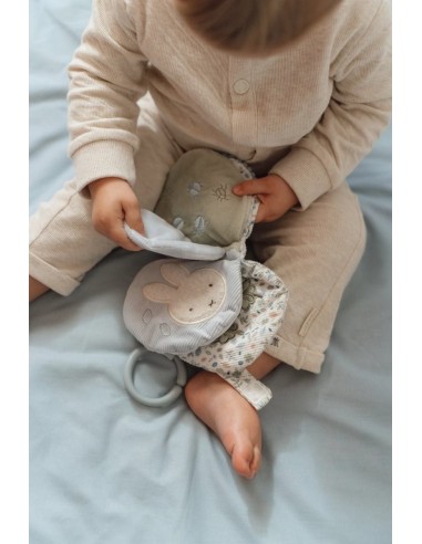 Libro de Actividades Anilla Leaves Little Ducth