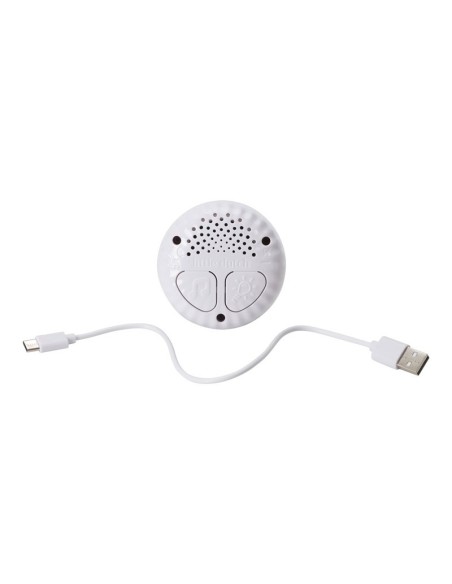 Luz de compañia Musical Oca Little Dutch