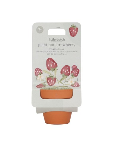 Maceta Fresas Little Dutch