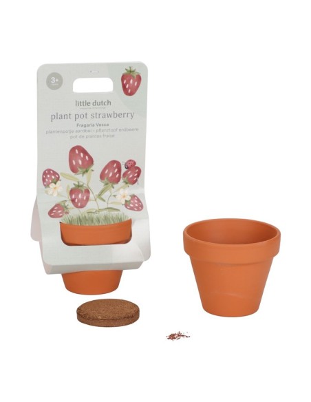 Maceta Fresas Little Dutch