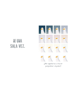 El pato que nunca parpadea 2