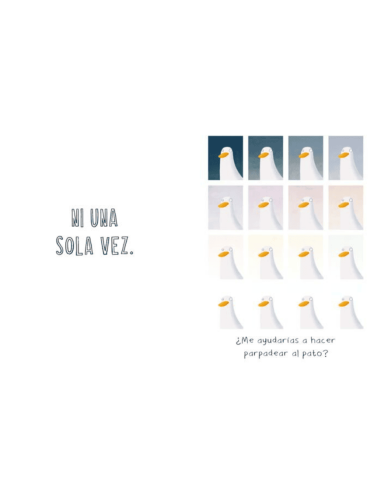 El pato que nunca parpadea