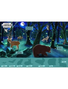 Descubriendo animales nocturnos. Tablero magnético 2