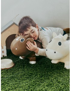 Caballo Saltarin Gris 2