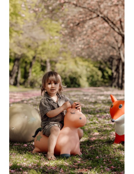 Animal Saltarin Hippo Unicornio