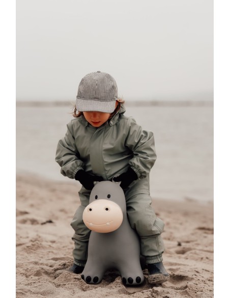 Animal Saltarín Hippo Hipopótamo