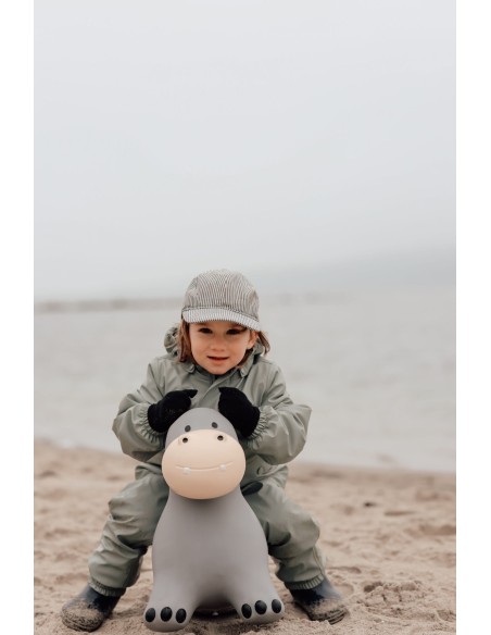 Animal Saltarín Hippo Hipopótamo