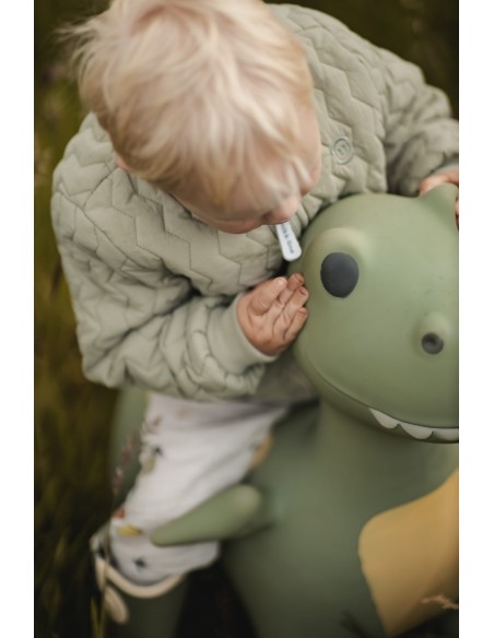 Animal Saltarín Hippo Dinosaurio